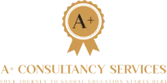 A+ Consultancy Services